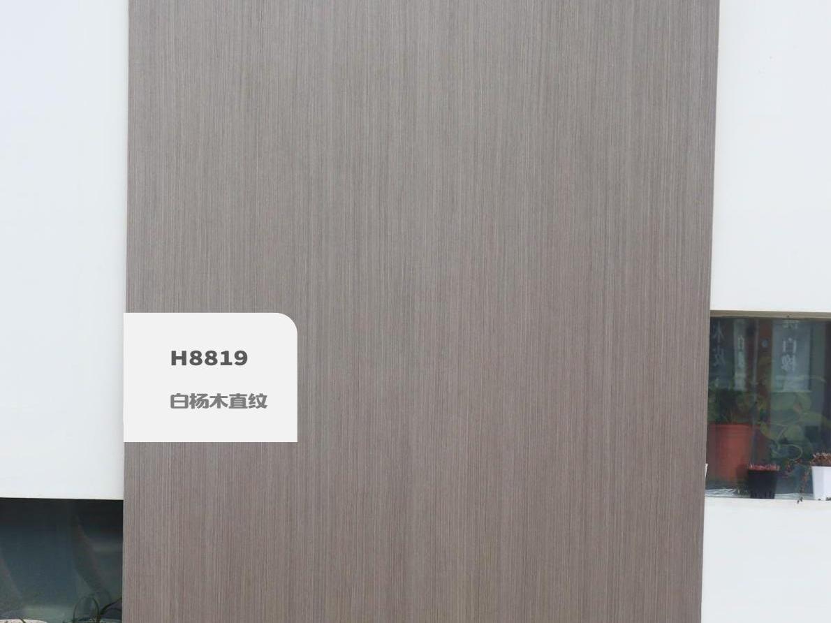 H8819白楊木直紋